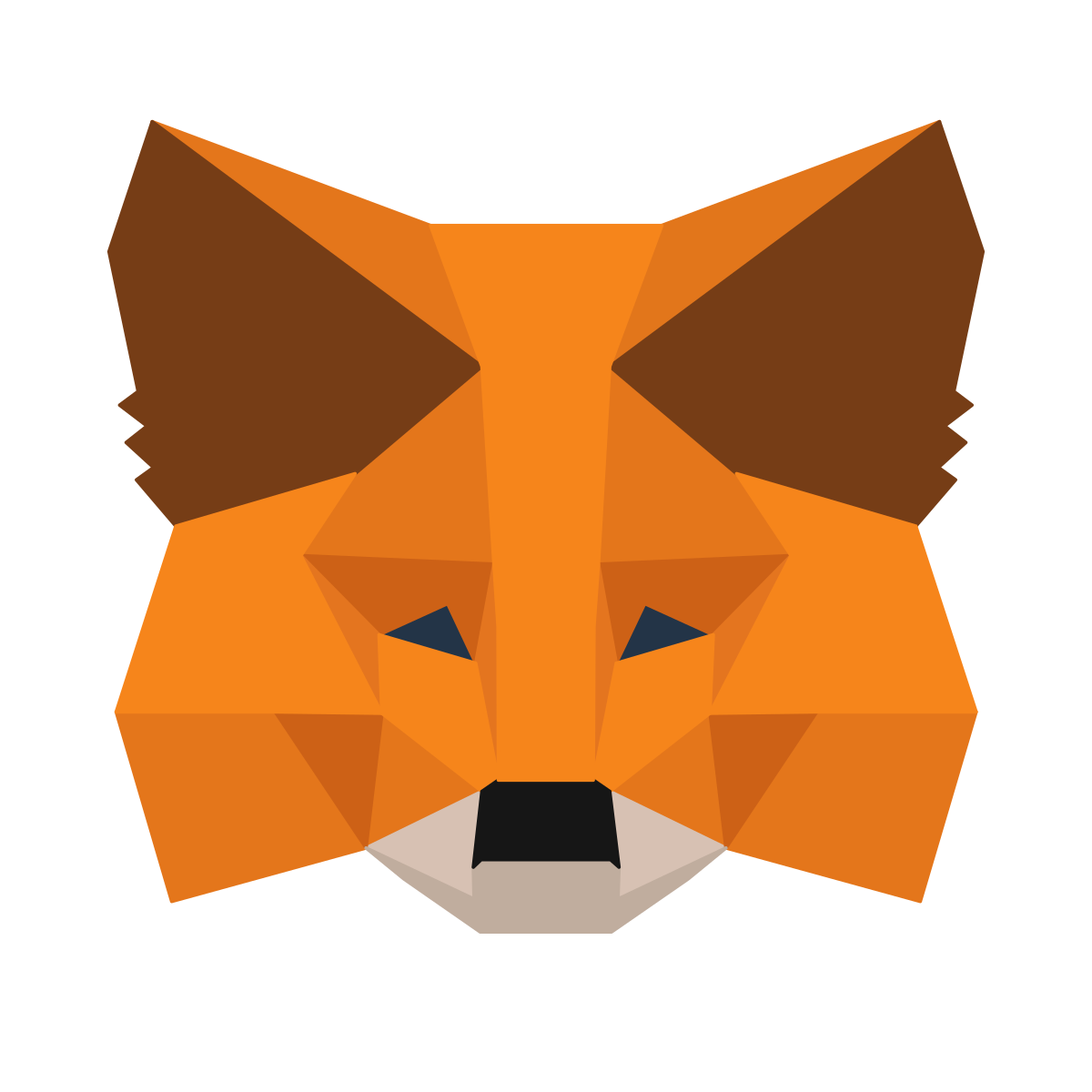 Meta Mask Image
